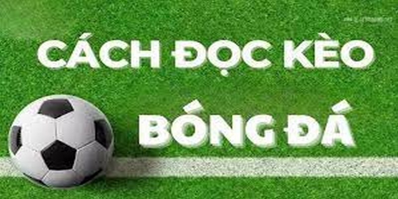 Khái niệm về kèo 1 1/2 là gì?