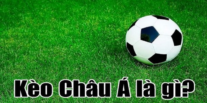 Các loại hình cá độ trong tỷ lệ cược Châu Á là gì?