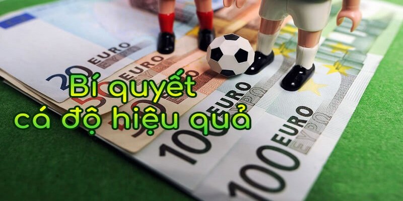 Các chia sẻ hữu ích để cải thiện kỹ năng